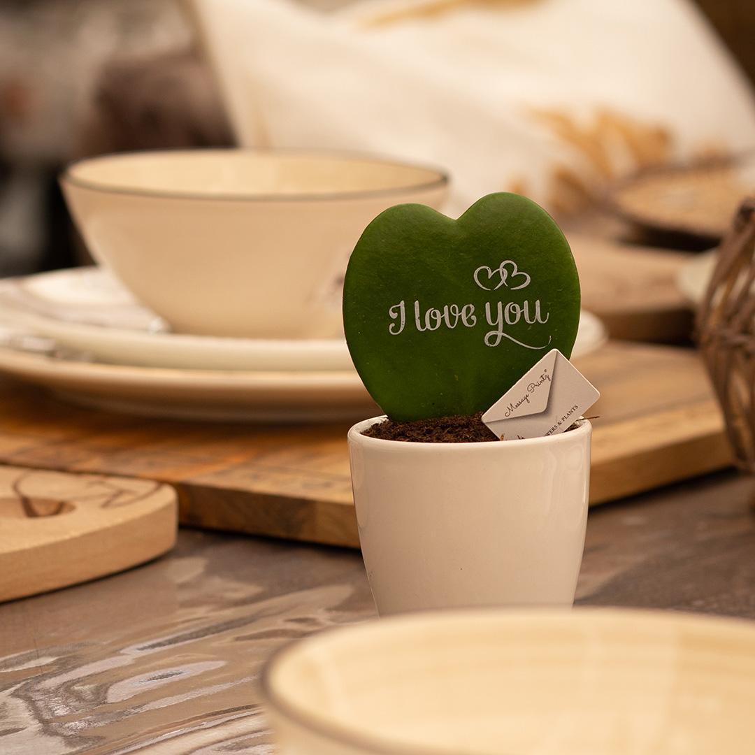 Message Printz® Hoya (Heartplant)| I love you