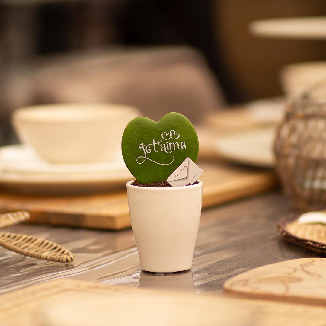 Message Printz® Hoya (Heartplant)| Je t'aime
