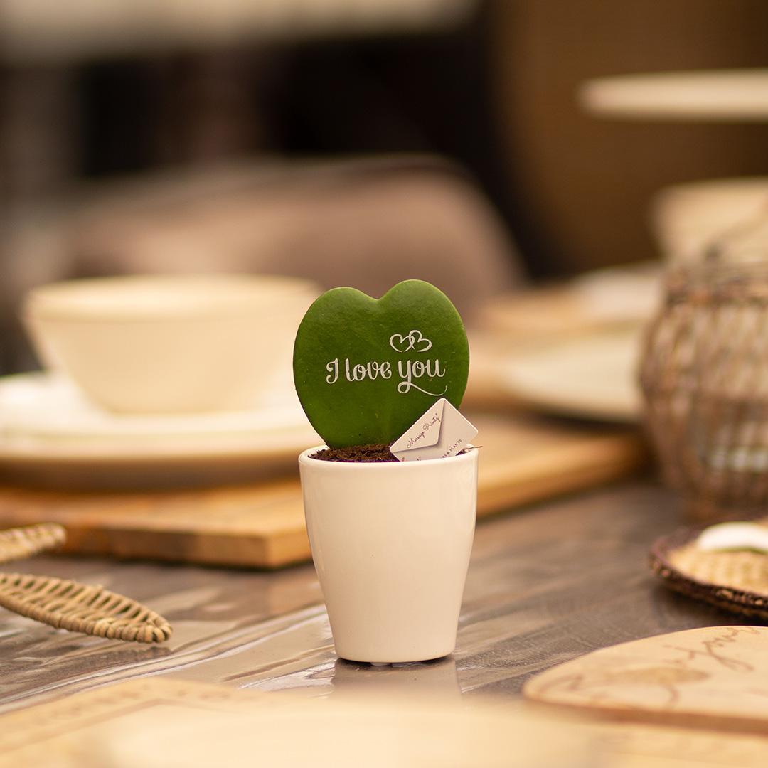 Message Printz® Hoya (Heartplant)| I love you