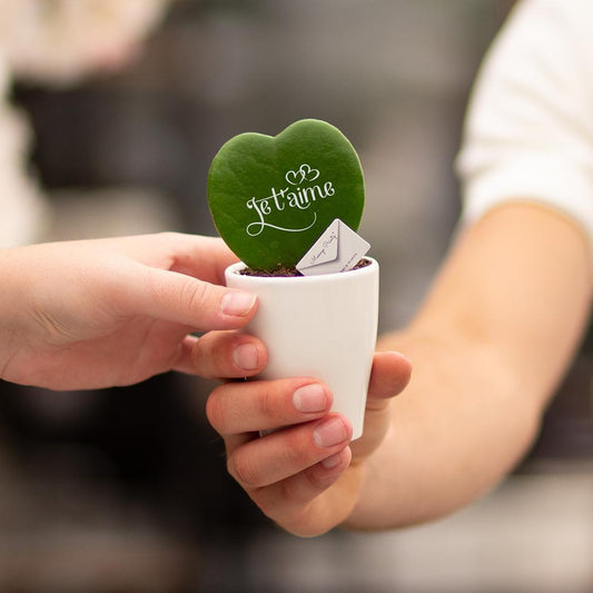 Message Printz® Hoya (Heartplant)| Je t'aime