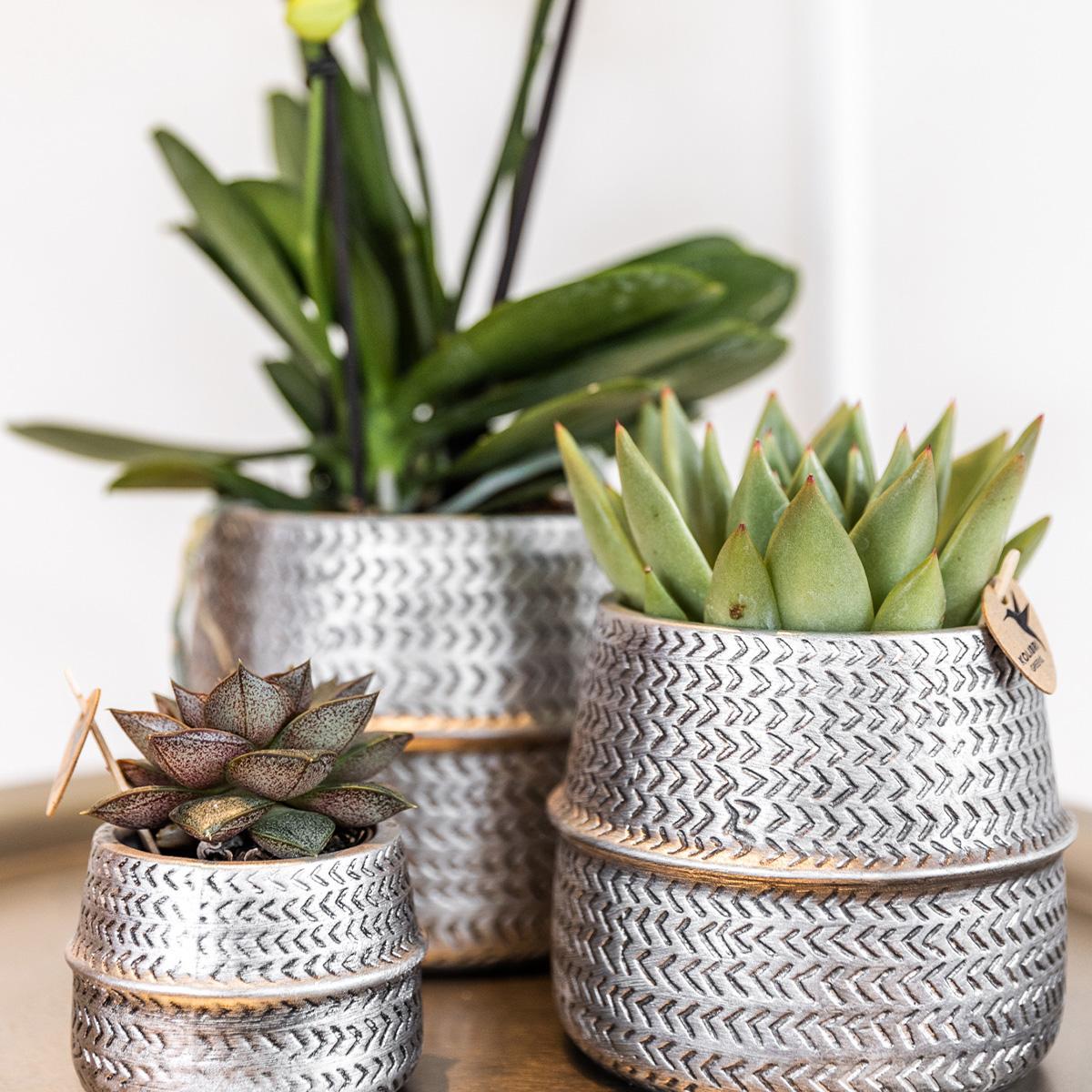 Plantlady Home | Groove bloempot - Gouden keramieken sierpot - Ø6cm