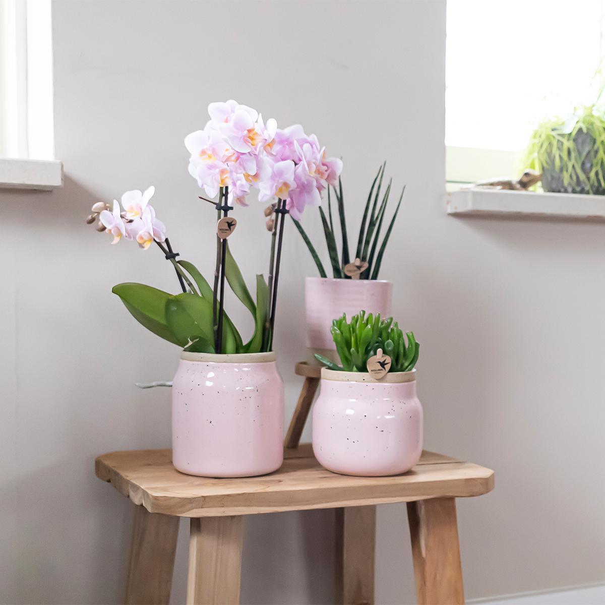 Plantlady Home | Vintage bloempot - Roze keramieken sierpot - Ø9cm