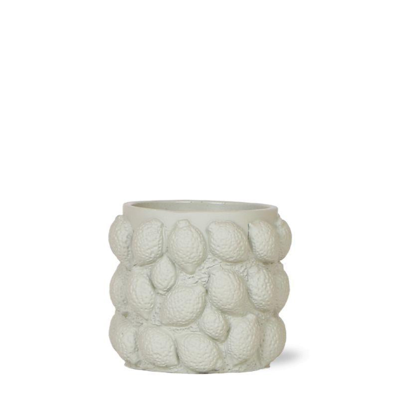 Plantlady Home | Citrus pot groen - Ø9cm